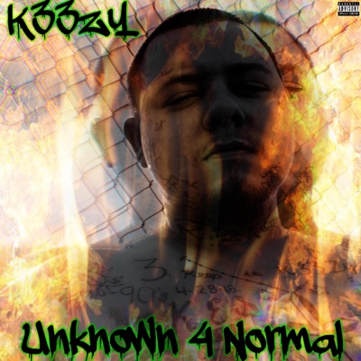 Unknown 4 Normal