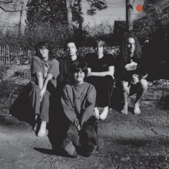 I Wanna Be Sedated - Single