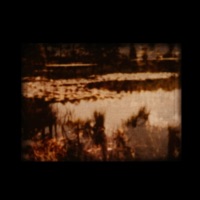 Impartial - Single - William LX & Jabul