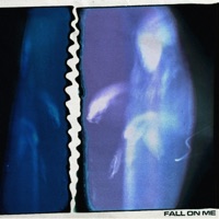 Fall On Me - Single - Torus