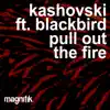 Pull Out The Fire