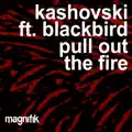 Pull Out The Fire
