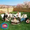 Jedziemy na domki