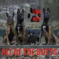 ALL OF THE BUTTS