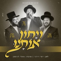 ויחון אותנו (feat. מוטי גולדמן & יואלי קליין) - Single - Yehuda Manheim