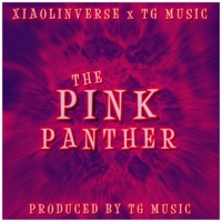 The Pink Panther (feat. XiaolinVerse) - Single - TG Music