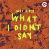 What I Didn't Say