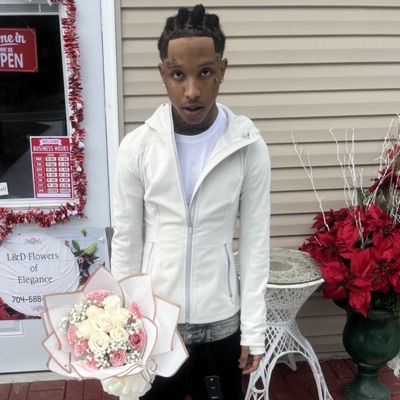 Topoppgen Archive - crocodile