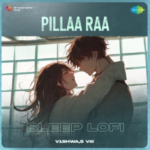 Pillaa Raa (Sleep Lofi)