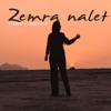 Zemra nalet (feat. Dhurata Shkembi) - Single