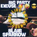 Big Party Excuse