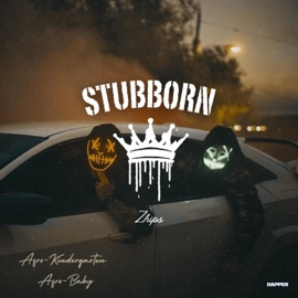 Stubborn ZHIPS