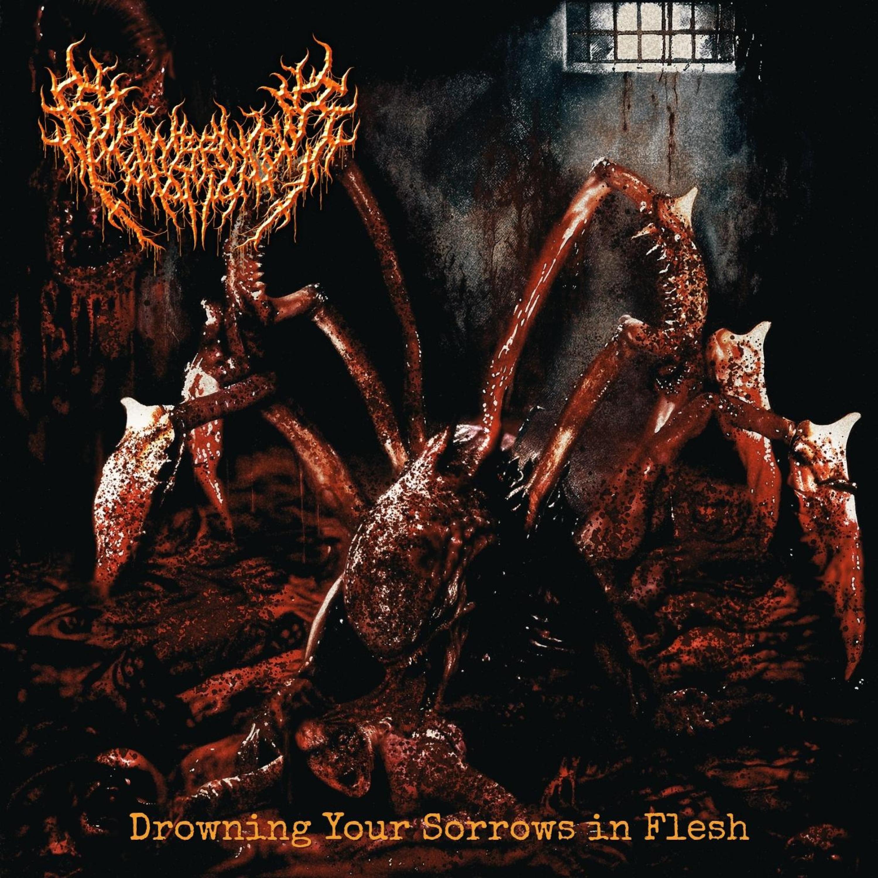 Drowning Your Sorrows in Flesh - Single