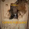 Cupido Flechado