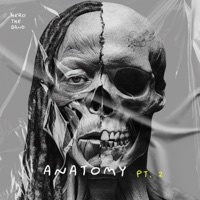 Anatomy: Part 2 - Hero The Band