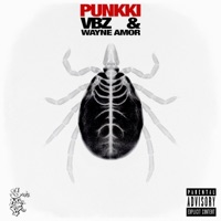 PUNKKI - Single - VBZ