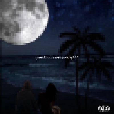you know i love you right? - Single