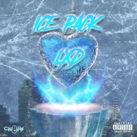 Ice Pack - Single - LXD