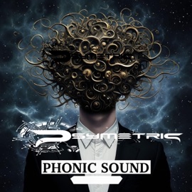 PHONIC SOUND Psymetric