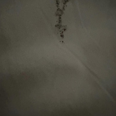 Oui (feat. Jareddiddat) - Single