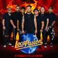 Estoy Perdido Live Session (Live)
