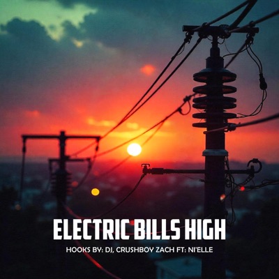 Electric Bills High (feat. Ni'elle) - Single