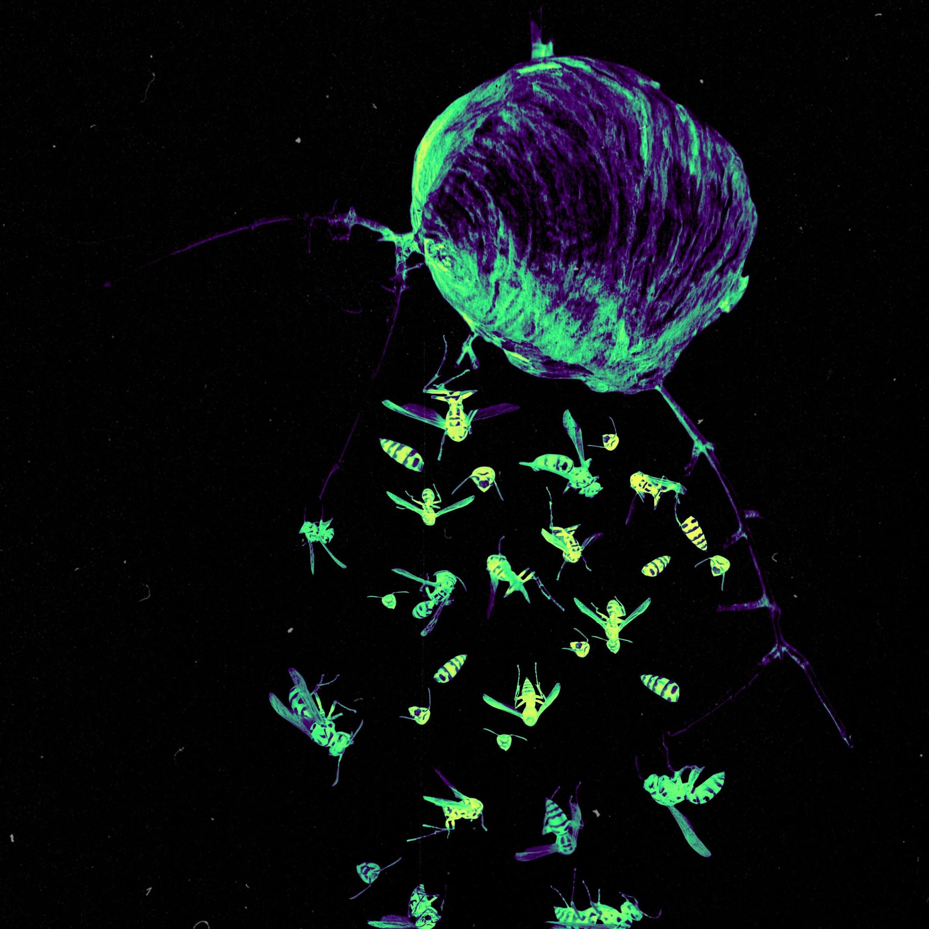 Hive Mind Productions (the fallout) - Single