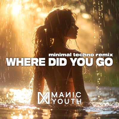 Where Did You Go (Minimal Techno Remix) - Single