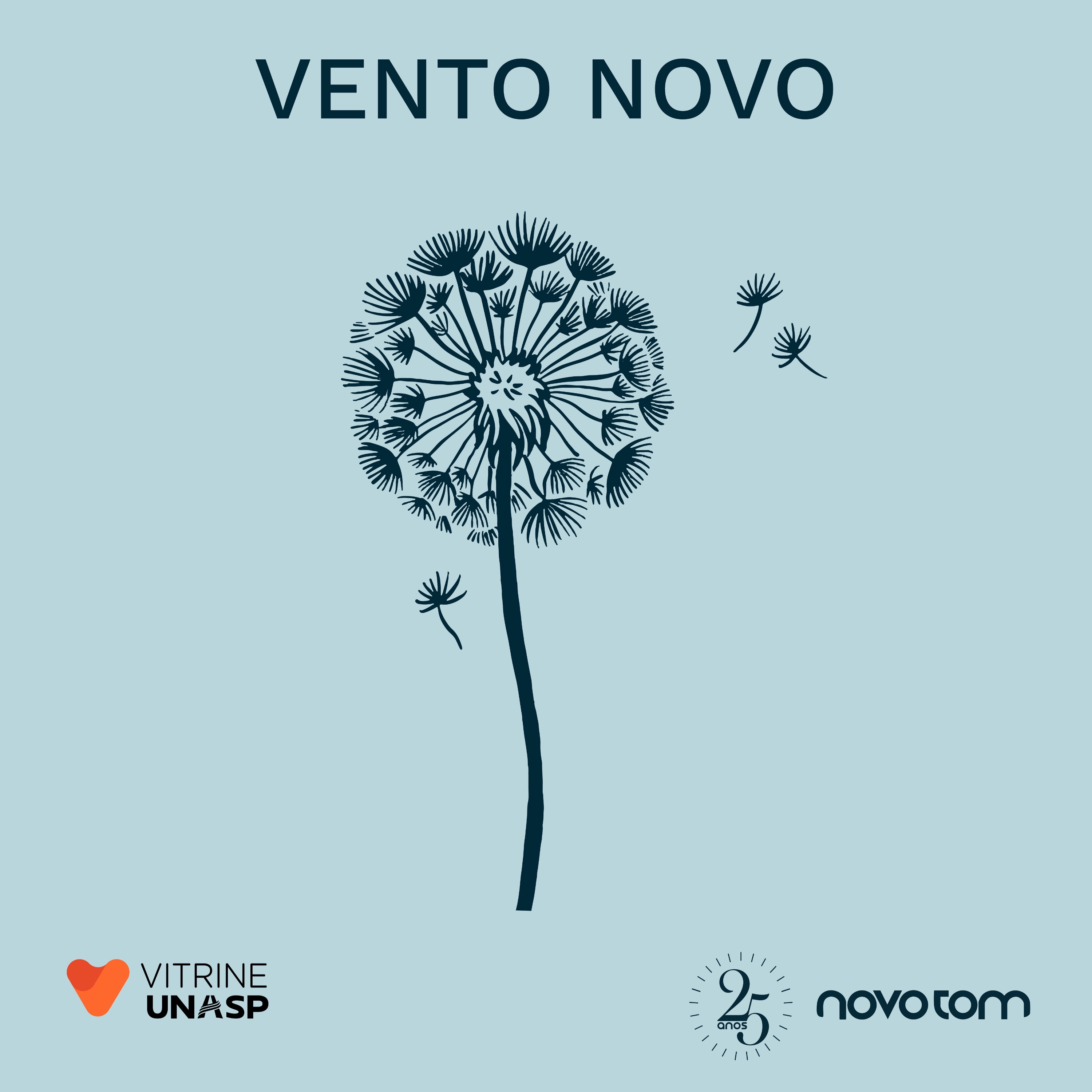 Vento Novo (25 Anos)