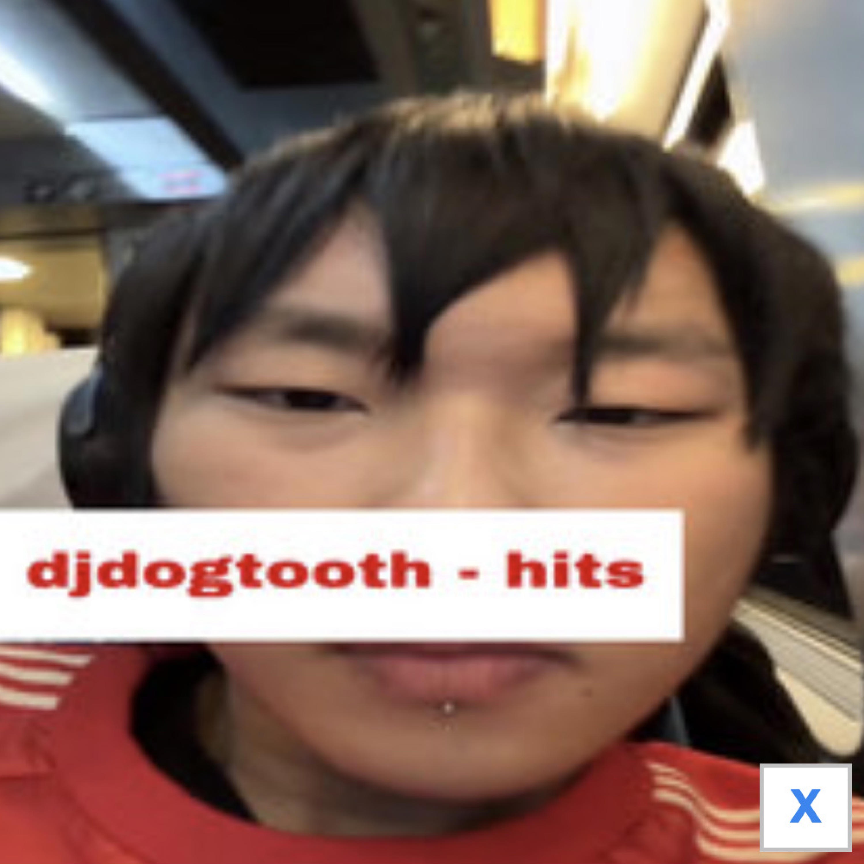djdogtooth (hits)
