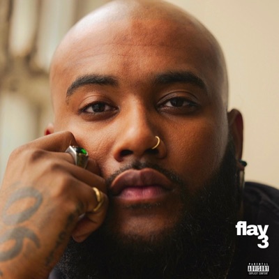 FLAY 3