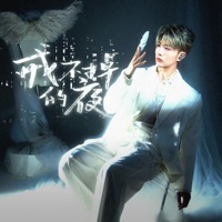 戒不掉的夜 - Single - Dailin Wu