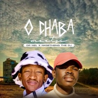 O chaba meetsi (feat. Nkgetheng the Dj) - Single - Dr Nel