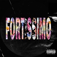 Fortissimo (feat. Chase & FutrinkaUtca) - Single - Drys