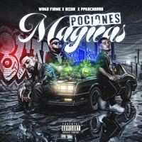 Pociones magicas (feat. Bizor & Ppkachorro) - Single - Wako firme