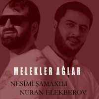 Melekler Ağılar (feat. Nuran Elekberov) - Single - Nesimi Samaxili