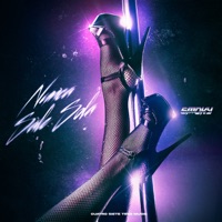 Nunca Sale Sola - Single - Smoky