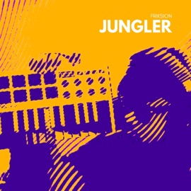 Kaun ho tum (feat. AB) Friksion