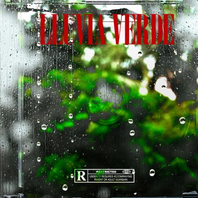 LLUVIA VERDE (feat. Golden Kid & Nell) - Single