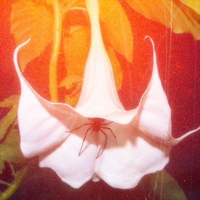 DVD (feat. Cxbyy) - Single