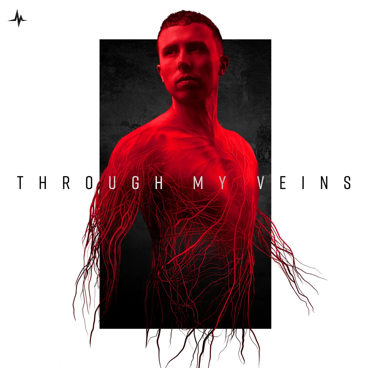 D-Sturb - Through My Veins (2024) [iTunes Plus AAC M4A]-新房子