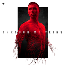 Through My Veins - D-Sturb Cover Art