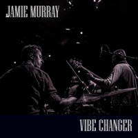 Vibe Changer (feat. David Binney, David Preston, Laurence Cottle & Paul Stacey) - Single - Jamie Murray