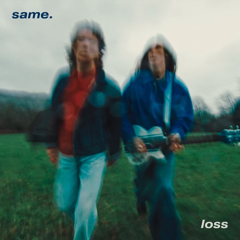 loss