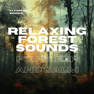 Relaxing Forest Sounds for Sleep and Calm
