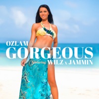 Gorgeous (feat. Wilz & Jammin) - Single - Ozlam