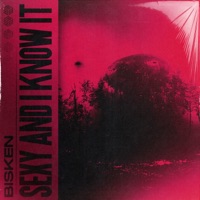Sexy and I Know It - Single - Bisken