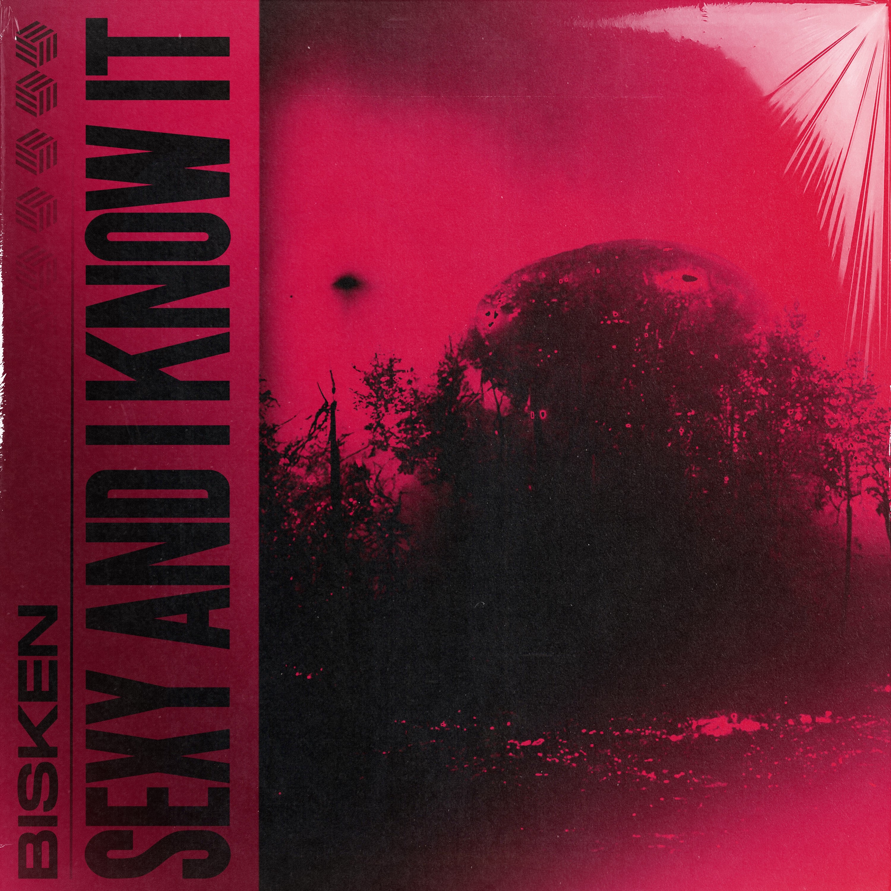 Bisken - Sexy and I Know It