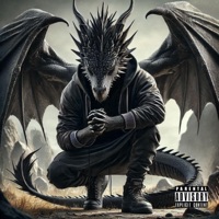 Internal Conflict (feat. Panamaniakz) - Single - Dragon Drop