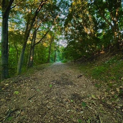 Transitions. - Single